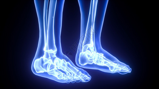 人体足骨3D足部场景设计图片