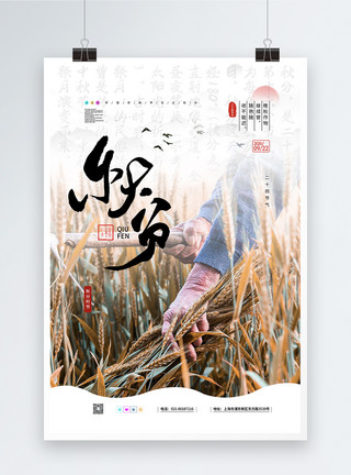 稻子成熟中国传统二十四节气之秋分丰收海报模板