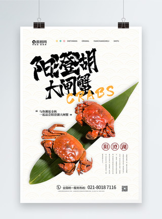 吃蟹季节阳澄湖大闸蟹宣传海报模板
