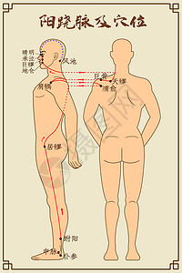 理疗保健阳跷脉及穴位中医经络图插画