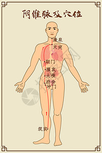阴维脉及穴位中医经络图高清图片
