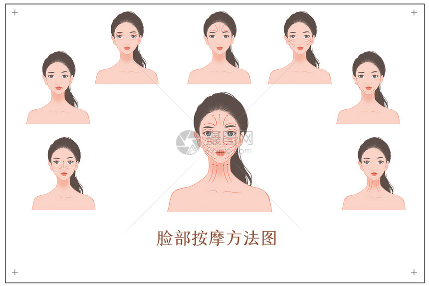 脸部按摩走向示意图图片