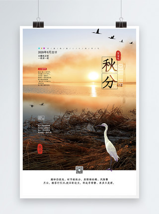 黄昏剪影白鹭中国传统二十四节气之秋分海报模板