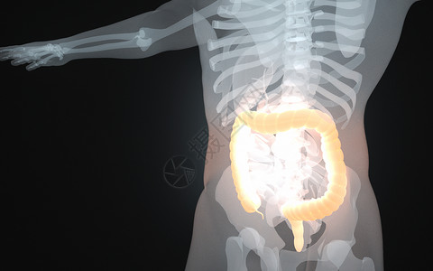 人体肠道背景图片