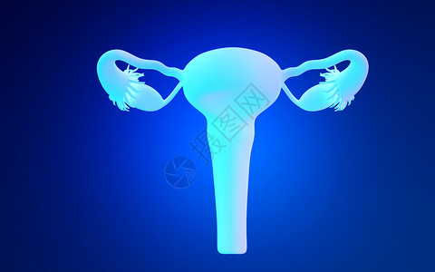 子宫恢复女性卵巢设计图片