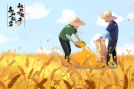 割水稻的男人秋收的农民插画
