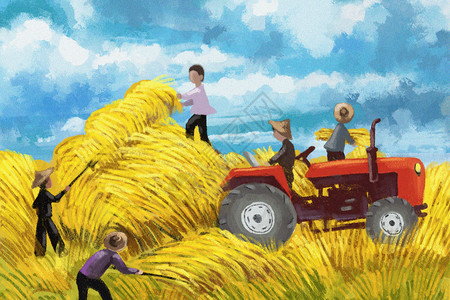 大麦穗开拖拉机收秋的农民插画