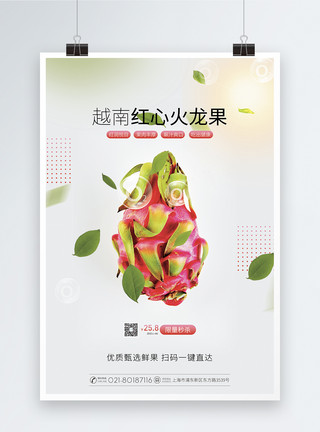 越南文庙新鲜火龙果水果促销海报模板