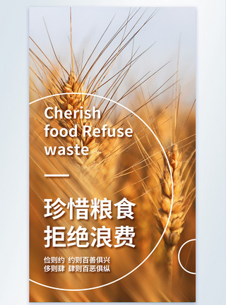 虎林稻米写实风节约粮食摄影图海报模板