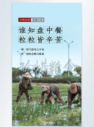 稻米量图写实风节约粮食摄影图海报模板