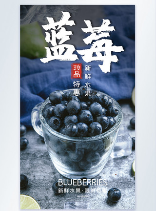 有机蓝莓蓝莓摄影图海报设计模板