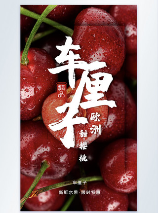 水果樱桃摄影图海报模板
