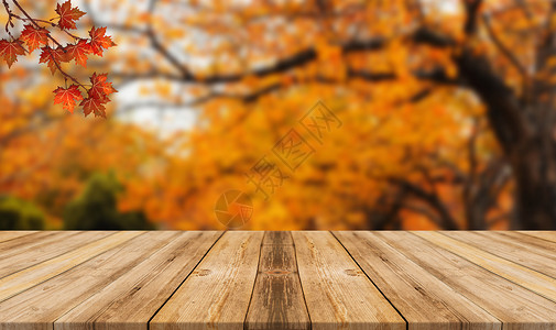 金色秋叶秋天背景设计图片