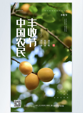 丰收果蔬文艺简约清新中国农民丰收节海报模板