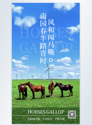 马和马车蓝天白云骏马旅游摄影海报模板