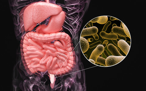 人体肠道感染高清图片