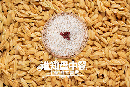 稻花香米饭世界粮食日设计图片