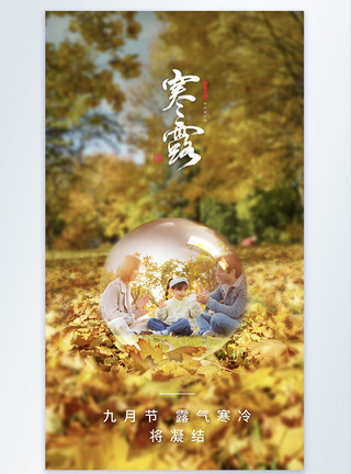 枫树枫叶寒露节气摄影图海报模板