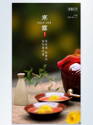 二十四节气习俗寒露菊花酒摄影图海报模板