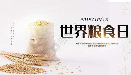 水稻收割世界粮食日设计图片