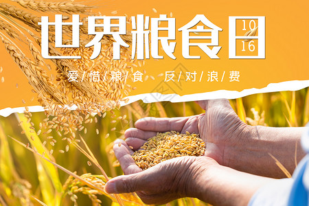 小米净化器世界粮食日设计图片