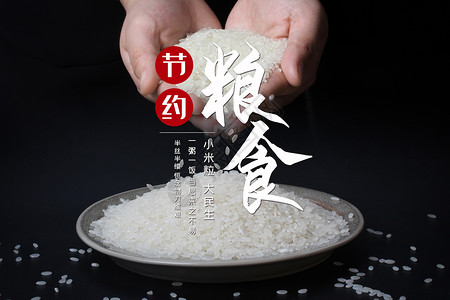 五谷米饭世界粮食日设计图片