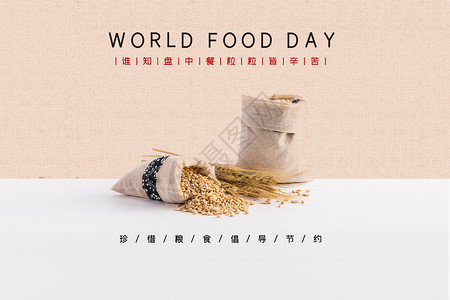 陕北小米世界粮食日设计图片