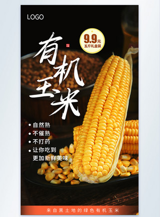 粮食促销海报绿色玉米促销摄影图海报模板