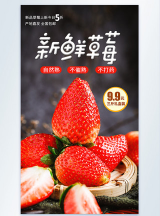 新鲜无污染新鲜草莓摄影图海报模板
