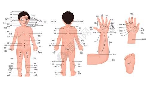 十二指肠部分儿童人体经络图插画
