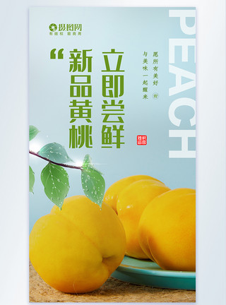 糖水黄桃清新简约文艺果蔬上市摄影图海报模板