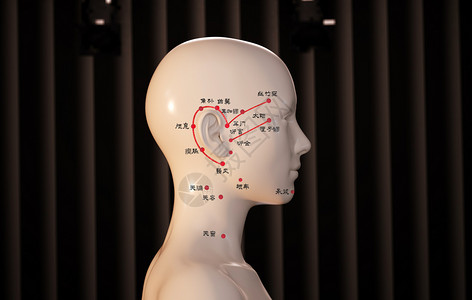 头按摩中医针灸穴位人体模型图设计图片