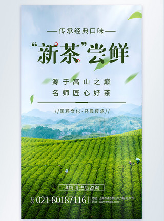 鹅卵石绿叶新茶上市尝鲜宣传摄影图海报模板