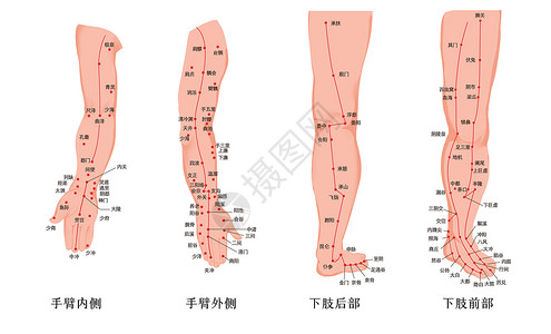 脚的穴位人体手与脚经络穴位图插画