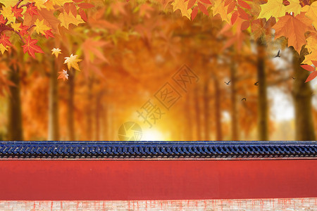 公园长椅秋叶秋天背景设计图片