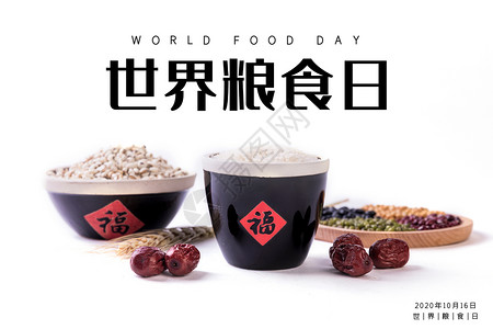 五谷小米世界粮食日设计图片