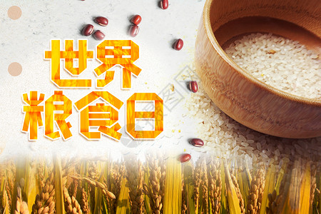 水稻粮食世界粮食日设计图片