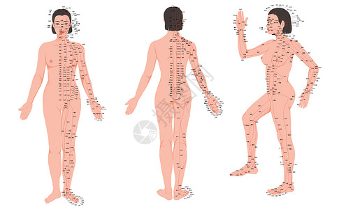 中医系统素材女性人体经络穴位走向图插画