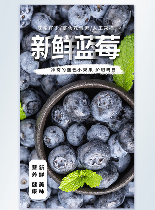 水果素材图片新鲜蓝莓水果摄影图海报模板