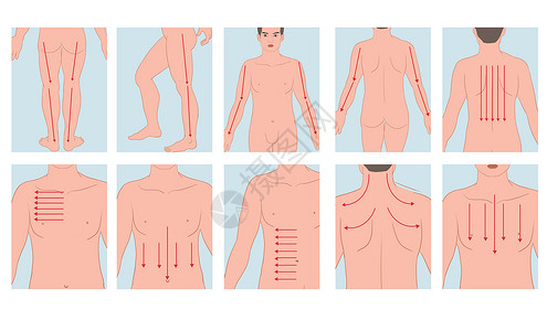 人体下肢中医人体各部位刮痧操作手法插画