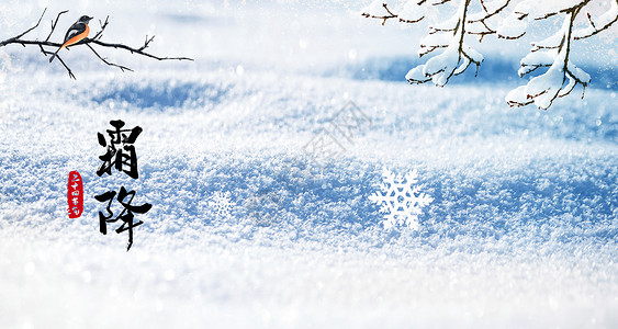 二十四节日霜降设计图片