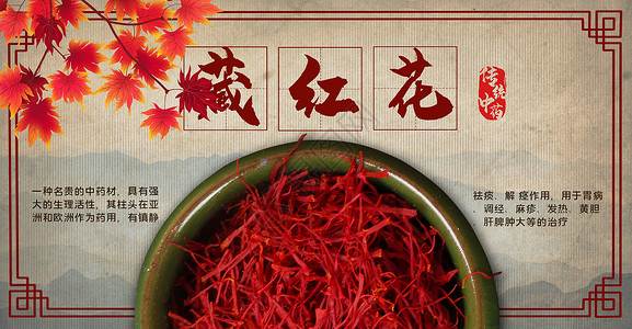 红色药材传统中药之藏红花设计图片