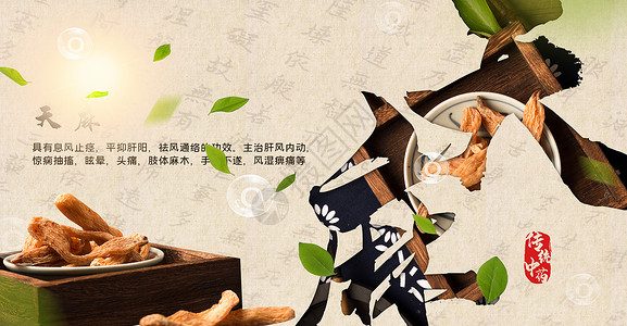 水墨草药传统中药之天麻设计图片