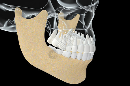 骨骼牙齿医美牙齿矫正设计图片