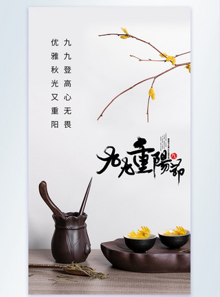 重阳节安康菊花摄影图海报模板
