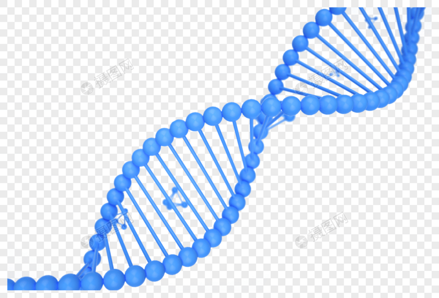 DNA基因链条图片