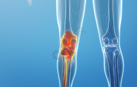 科技透视背景膝关节设计图片