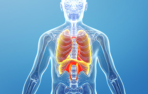 科技肺胸腔场景设计图片