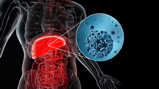 肝囊肿3D肝脏疾病场景设计图片
