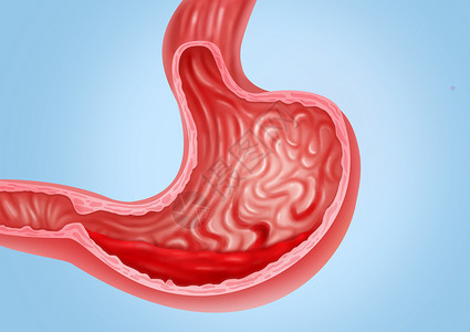 人体八大系统图手绘胃出血医疗健康插图插画